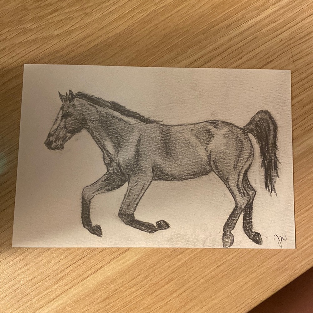 Horse drawing pencil